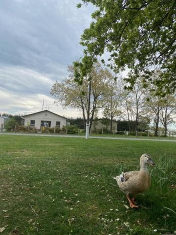 Ashburton Holiday Park מראה חיצוני תמונה